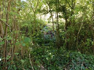 Terrain de loisirs  jardin