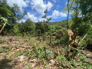 Terrain à vendre ()