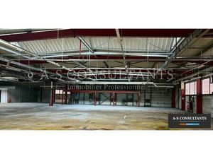 Vente local industriel 948 m² Ayse (74130)