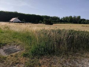 Annonce vente terrain terrain de 2179m2 à Mareuil-sur-cher (41110) - ParuVendu.fr ref 9927