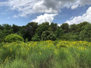 Aix en Provence - Terrain 2150m2