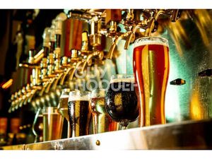 Vente commerce Bages (66670)