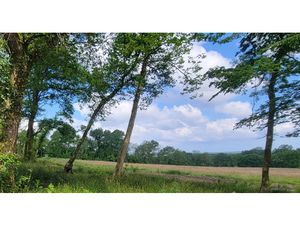 Vente terrain 656 m² à Dax (40100)  143 396 €