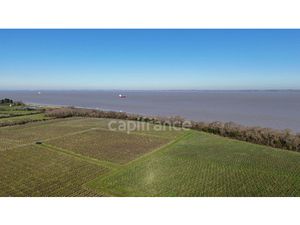 fonds de commerce à vendre SAINT YZANS DE MEDOC 1143m2 932 400€