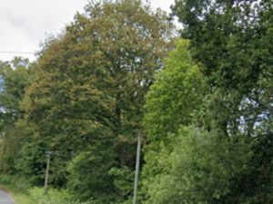 Vente terrain 2690 m² à Lanvénégen (56320)  4 500 €