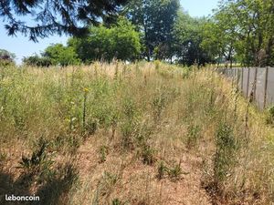 Terrain 983 m² Cissac Medoc