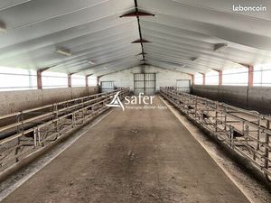 Ferme 650 m² Salers
