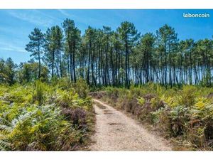 Location terrain nature & forestier