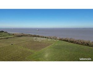 Propriété viticole 1 143 m²