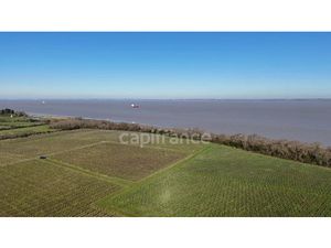 Vente locaux professionnels 1143 m² à Saint-Yzans-de-Médoc (33340)  932 400 €