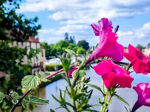 Vente propriété 14 pièces