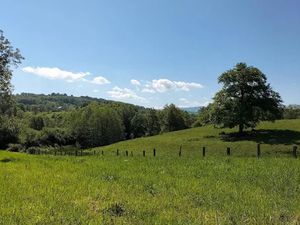 Vente terrain 1505 m² à Molles (03300)  20 000 €