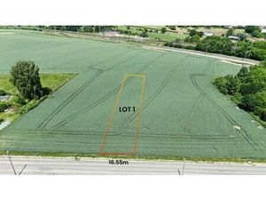 Terrain de 1.168  m² : construisez la maison de vos rêves !