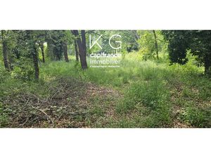 Terrain à vendre SANTA LUCIA DI MORIANI 4208m2 385 000€