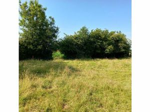Annonce vente terrain terrain de 1211m2 à Fressin (62140) - ParuVendu.fr ref 992781210263