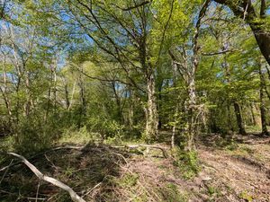 Vente terrain 8597 m² à Guignes (77390)  16 500 €