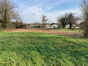 Vente terrain 1690m2 Mosnac 17240 - 35000 € - Surface Privée