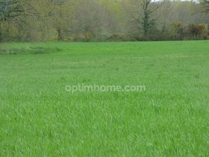 Vente terrain 1589 m² Fégréac (44460)