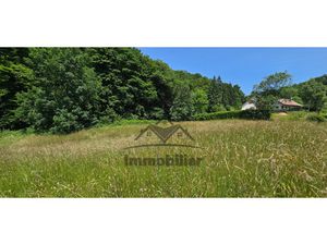 PARCELLE DE TERRAIN AU CALME EN PLEINE NATURE