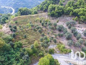 Vente terrain 8030 m² Sainte-Agnès (06500)