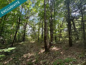 Vente terrain 6940 m² à Saint-Vivien-de-Blaye (33920)  6 000 €