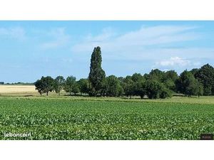 Terrain 517 m² LIMOURS