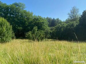 Terrain 2 750 m² Saint Genes De Lombaud