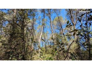 Terrain 1490 m² Carcès