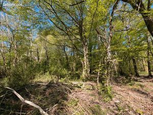 Terrain 8 597 m² Guignes