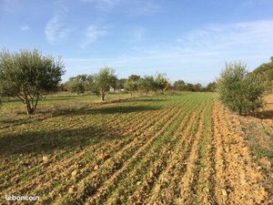 Terrain 27000 m² ALIGNAN-DU-VENT