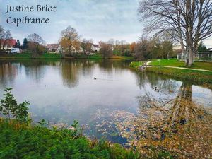 Pavillon familial avec jardin et accès direct au lac – Cours-les-Barres