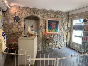 À Vendre : Fond de commerce de Toilettage Canin Activité e