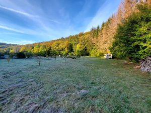 Vente terrain 1700 m² à Doulaincourt-Saucourt (52270)  9 000 €