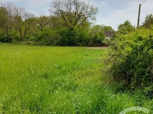 Vente terrain à batir 9522 m² à Neuillay-les-Bois (36500)  30 000 €