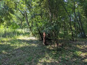 Vente terrain 516 m² à Langlade (30980)  178 000 €