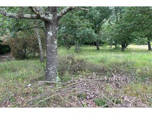 Vente terrain 503 m² Maureillas-las-Illas (66480)