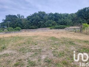 Vente terrain 1475 m² à Brézé (49260)  96 000 €