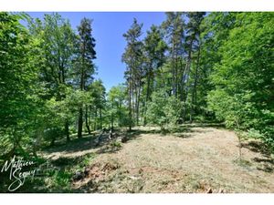 Vente terrain 2779 m² à Aveize (69610)  129 000 €