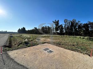 Vente terrain 814 m² à L'Isle-sur-la-Sorgue (84800)  213 000 €