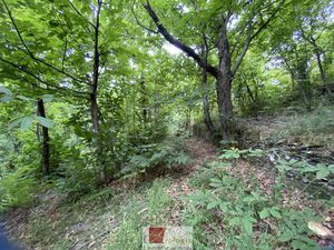 Achat Terrain 1 138m² LE VIGAN 30120