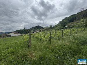 Vente terrain à batir 1130 m² à Arras-sur-Rhône (07370)  113 000 €