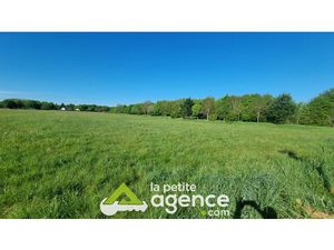 Terrain constructible Mereau NORD