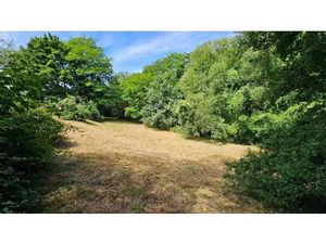 Vente terrain 1000 m² Nozay (91620)