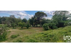 Vente terrain 1516 m² Cruviers-Lascours (30360)