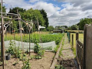 Terrain à vendre à Lebbeke € 119.000 (LB1F4) - Walbers Immo | Zimmo