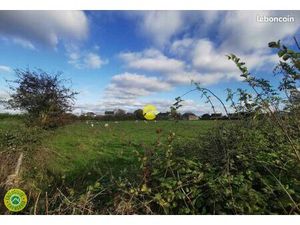 Terrain 10 385 m² Sancoins