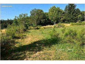 Terrain 1 300 m² Saint Pal De Mons