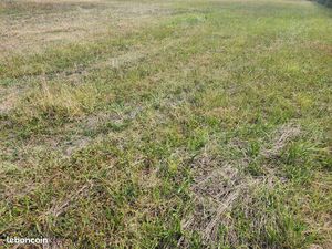 Terrain 725 m² Balbigny