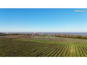 Propriété 12 pièces 1 357 m²