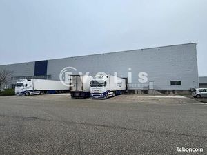 Local industriel 19 680 m²
